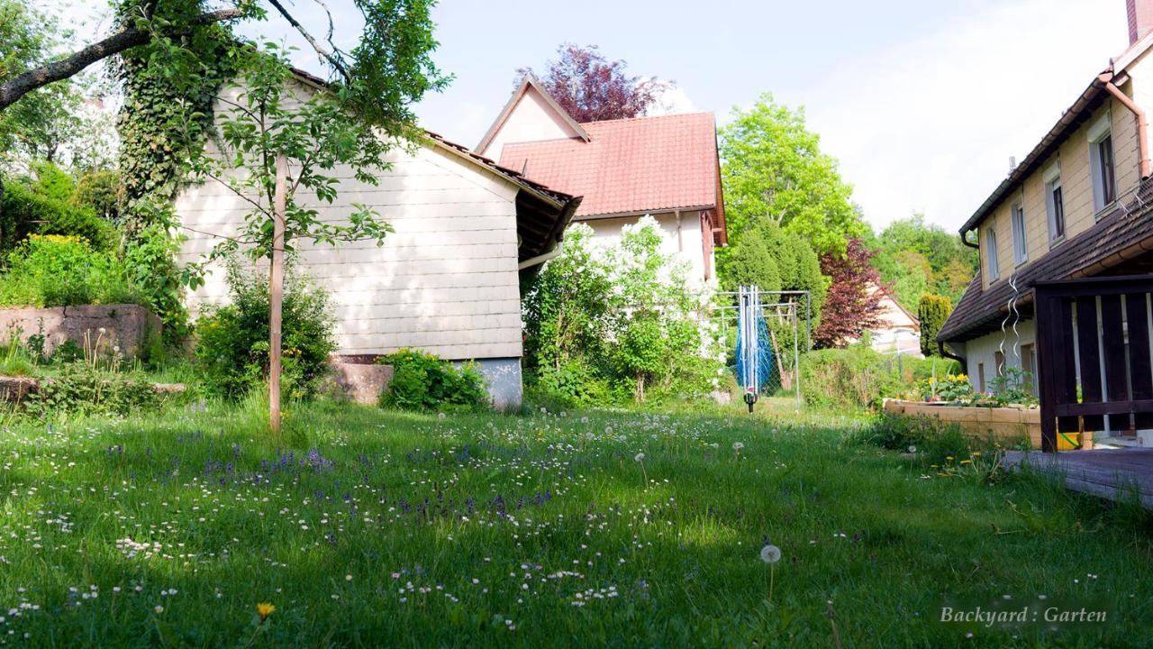 Vila Entire House In Schwarzwald With Mountain View, Private Gym,Sauna And Garden Unterkirnach Exteriér fotografie