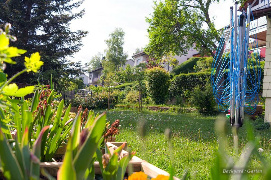 Vila Entire House In Schwarzwald With Mountain View, Private Gym,Sauna And Garden Unterkirnach Exteriér fotografie