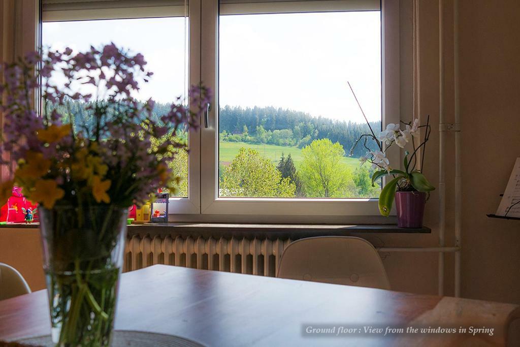 Vila Entire House In Schwarzwald With Mountain View, Private Gym,Sauna And Garden Unterkirnach Exteriér fotografie
