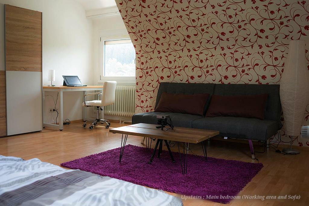 Vila Entire House In Schwarzwald With Mountain View, Private Gym,Sauna And Garden Unterkirnach Exteriér fotografie